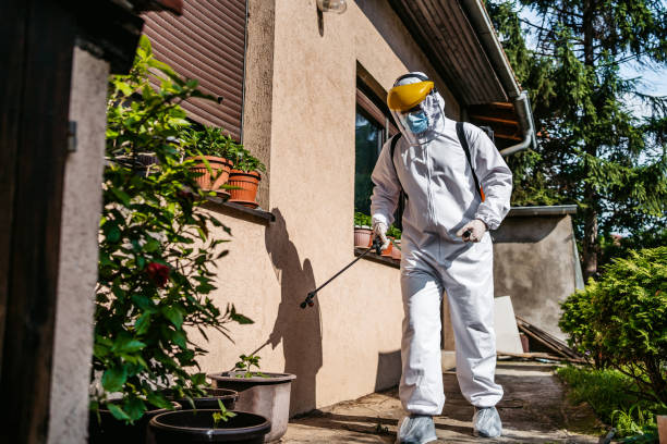 Wasp Removal Services in Las Lomas, CA