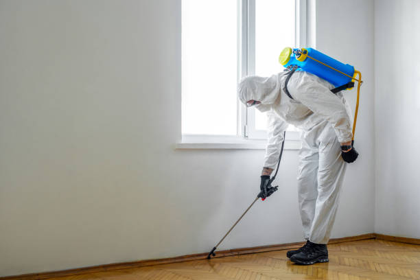 Best Wasp Removal Services  in Las Lomas, CA