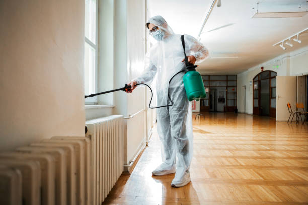 Best Emergency Pest Control  in Las Lomas, CA